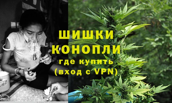 мяу мяу мука Заводоуковск