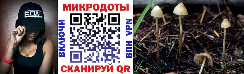 Псилоцибиновые грибы MAGIC MUSHROOMS  сколько стоит  Радужный 